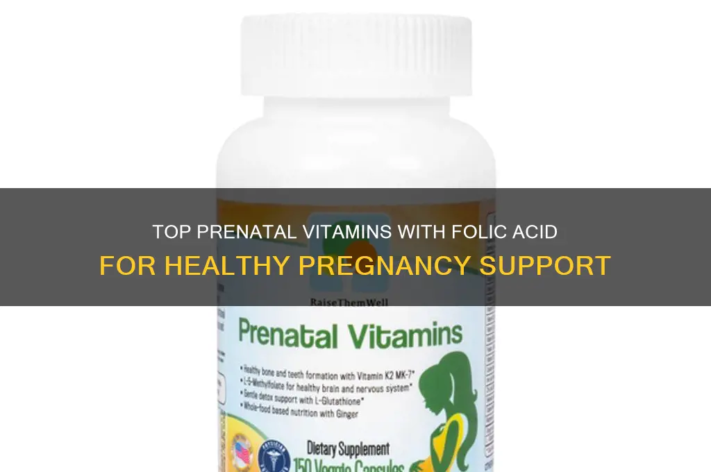 what is the best prenatal vitamin with folic acid