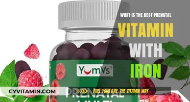 Top Prenatal Vitamins with Iron for Healthy Pregnancy and Baby