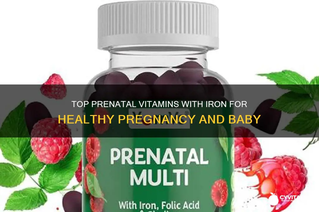 what is the best prenatal vitamin with iron