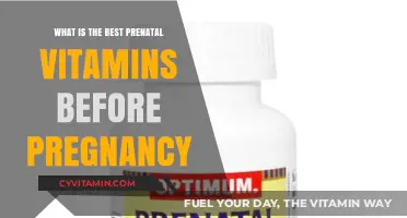 Top Prenatal Vitamins to Prepare Your Body for a Healthy Pregnancy