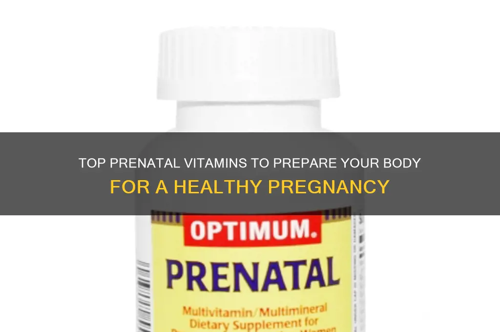 what is the best prenatal vitamins before pregnancy