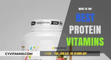 Top Protein-Rich Vitamins for Optimal Health and Muscle Growth