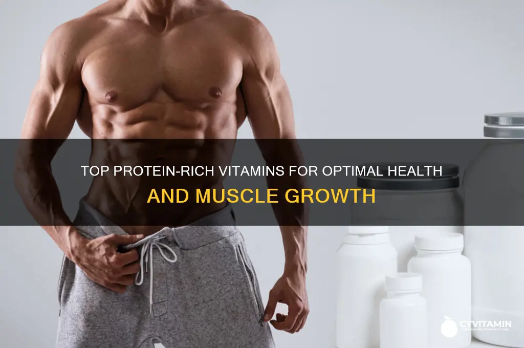 what is the best protein vitamins