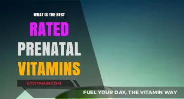 Top-Rated Prenatal Vitamins for a Healthy Pregnancy Journey