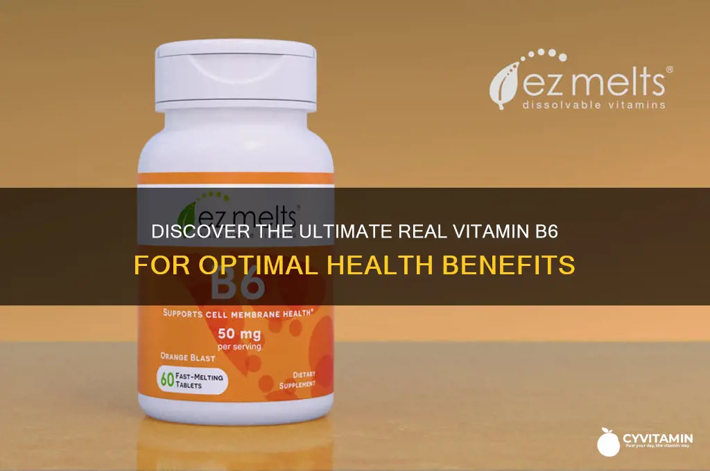 what is the best real vitamin 6
