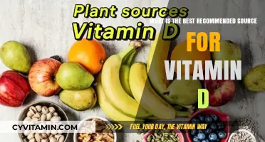 Top Vitamin D Sources: Sunlight, Foods, or Supplements? Find Out!