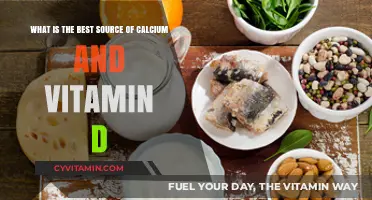 Top Calcium and Vitamin D Sources for Optimal Bone Health