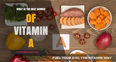 Top Natural Sources of Vitamin A for Optimal Health and Vision