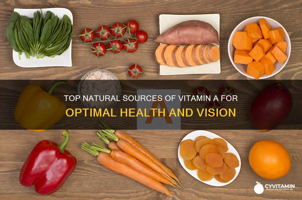 what is the best source of vitamin a