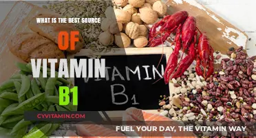 Unlocking Vitamin B1: Top Natural Sources for Optimal Health