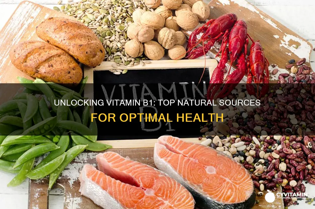 what is the best source of vitamin b1
