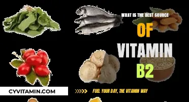Unlocking Vitamin B2: Top Natural Sources for Optimal Health
