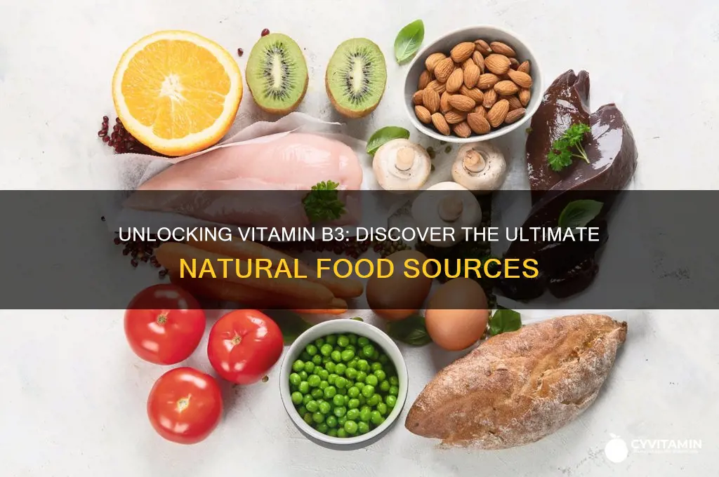 what is the best source of vitamin b3