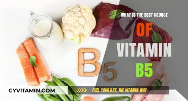 Unlocking Vitamin B5 Benefits: Top Natural Sources for Optimal Health