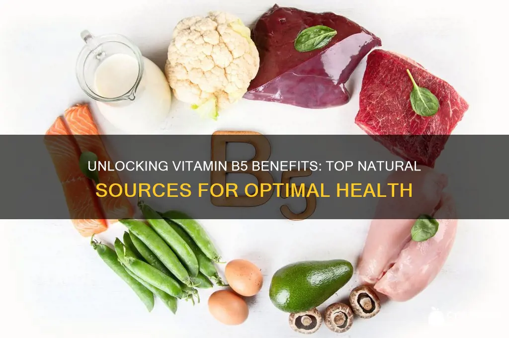 what is the best source of vitamin b5