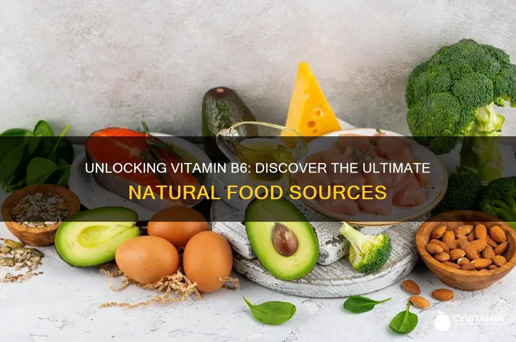 what is the best source of vitamin b6