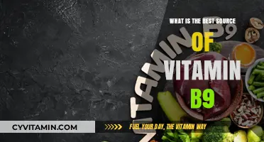 Unlocking Vitamin B9: Top Natural Sources for Optimal Health