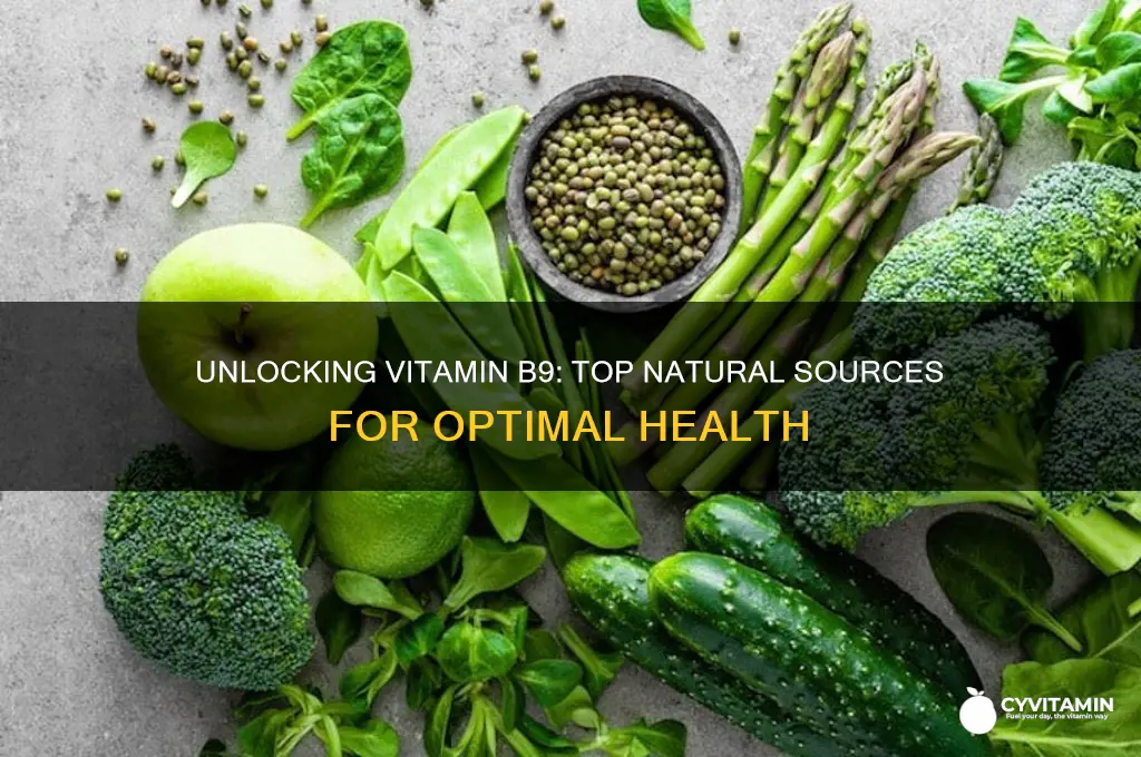 what is the best source of vitamin b9