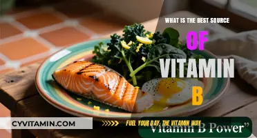 Unlocking the Power of Vitamin B: Nature's Best Sources Revealed