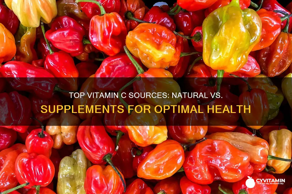 what is the best source of vitamin c to take