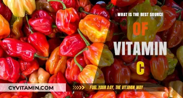 Discover the Ultimate Vitamin C Source for Optimal Health