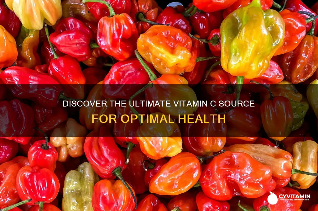 what is the best source of vitamin c
