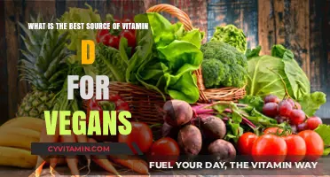 Top Vegan Vitamin D Sources: Sunlight, Supplements, and Plant-Based Options