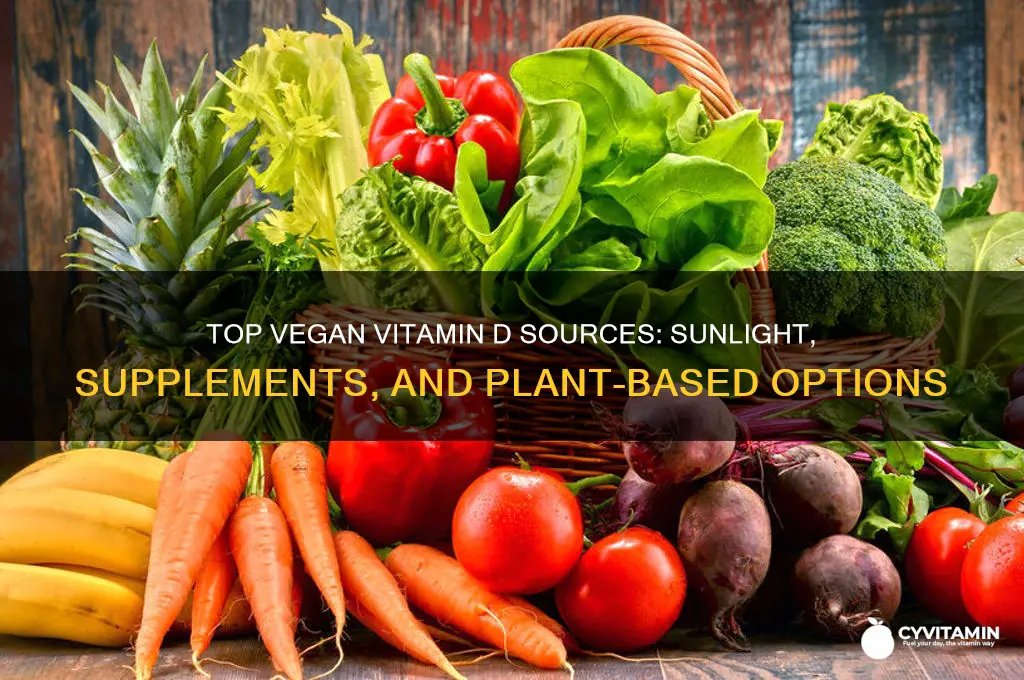 what is the best source of vitamin d for vegans