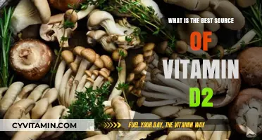 Discover the Optimal Source of Vitamin D2 for Your Health