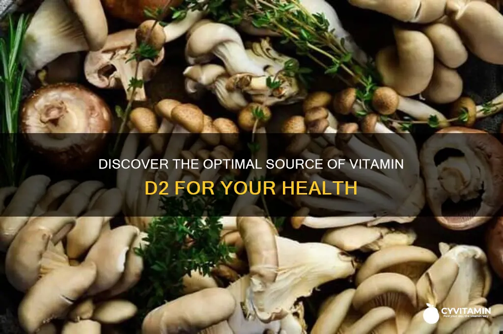 what is the best source of vitamin d2