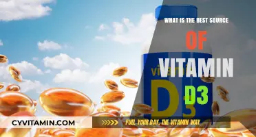Unlocking Optimal Health: Discover the Best Source of Vitamin D3
