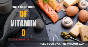 Unlocking Vitamin D: Top Natural and Supplement Sources Revealed
