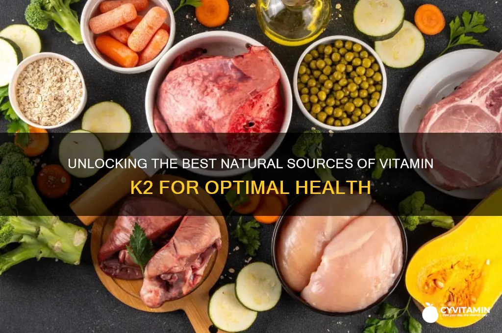 what is the best source of vitamin k2