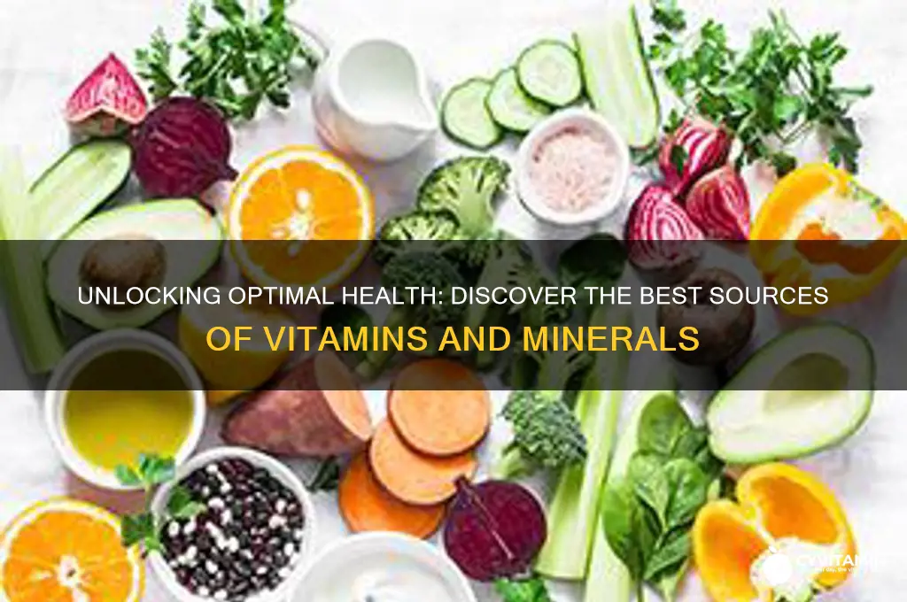what is the best source of vitamins and minerals