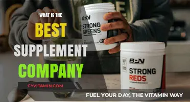 Top Supplement Brands: Unveiling the Best Company for Your Health Goals