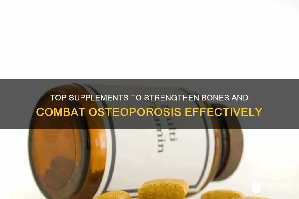 what is the best supplement for osteoporosis