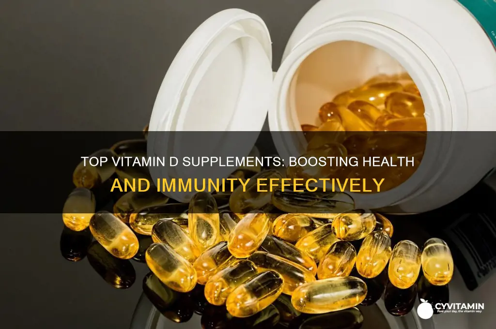 what is the best supplement for vitamin d