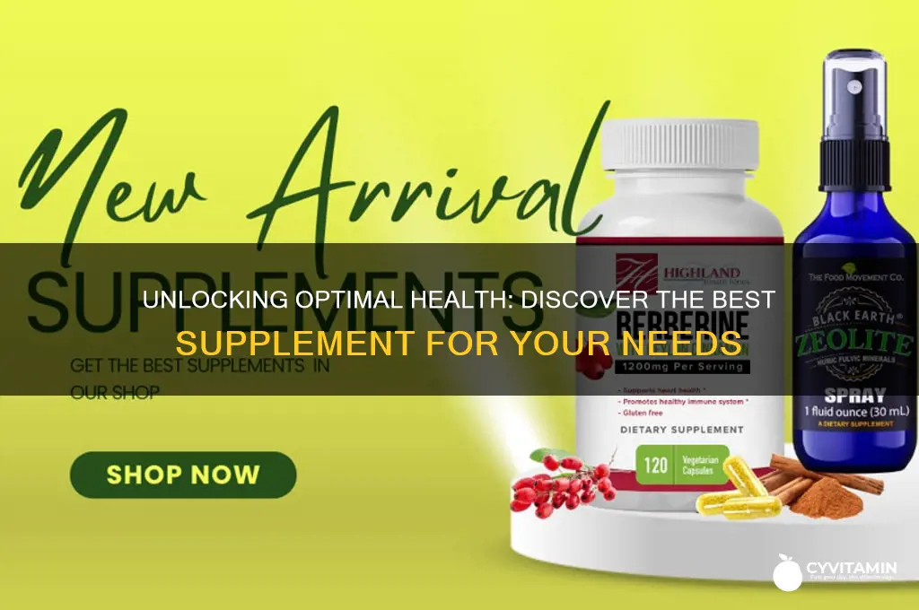 what is the best supplement to take