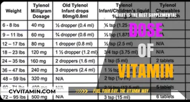 Optimal Vitamin Supplementation: Finding Your Perfect Daily Dose