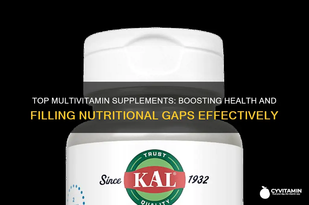 what is the best supplemental multi vitamin