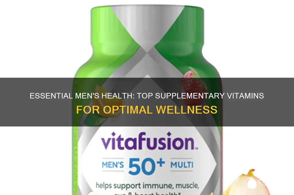 what is the best supplementary vitamins to keep the men