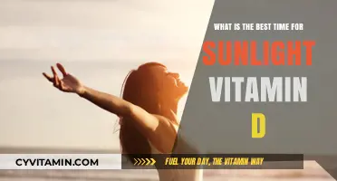 Optimal Sunlight Hours for Maximizing Vitamin D Absorption