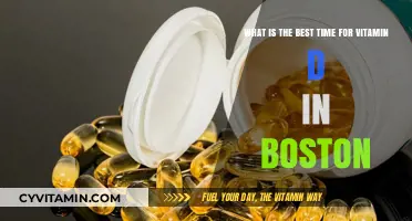 Optimal Vitamin D Sun Exposure Times in Boston: A Seasonal Guide