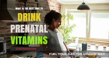 Optimal Timing for Prenatal Vitamins: When to Take Them