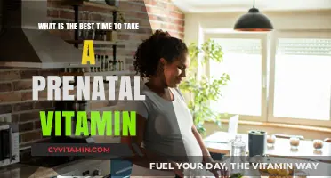 When to Take Prenatal Vitamins for Optimal Baby Health