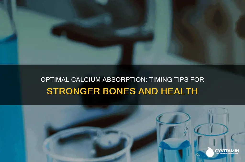 what is the best time to take calcium
