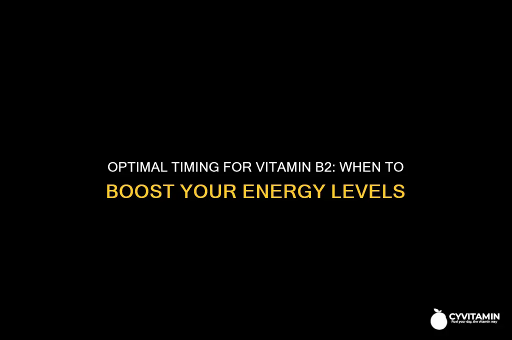 what is the best time to take vitamin b2