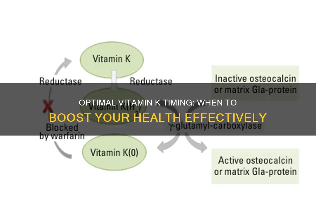 what is the best time to take vitamin k