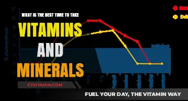 Optimal Vitamin and Mineral Timing for Maximum Health Benefits