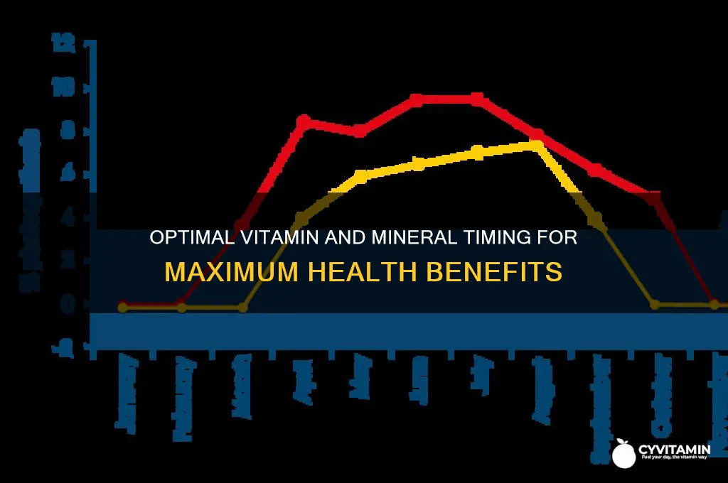 what is the best time to take vitamins and minerals